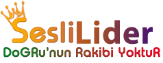 SesliLider | Ücretsiz Sesli Sohbet Odaları ve Canlı Chat 